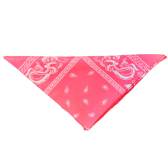 PAÑUELO - FUCSIA