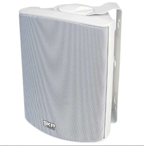 Caixa de Som SKP Ambiente 5 Pol. SK 105