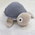 Tortuga Tejida en internet