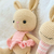 Kit Coneja Beige Vestido - comprar online