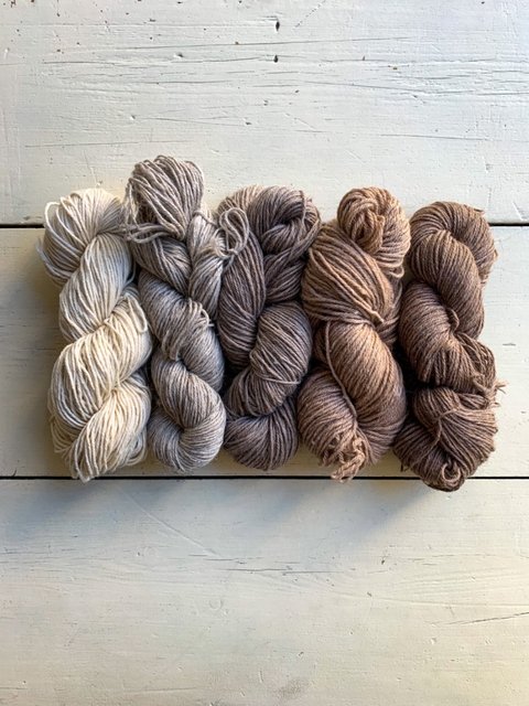 LLAMA MERINO (100 Grs.) - comprar online