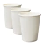 Copo de Papel Ecológico Branco 210ml HA262