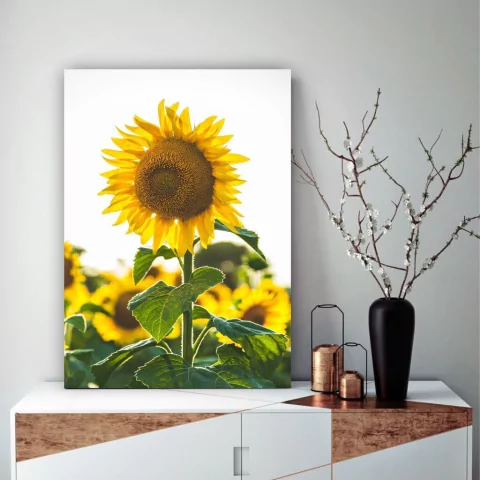 Placa Decorativa MDF Girassol Flor