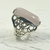 Anillo Argos en internet