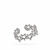 Anillo Aroa