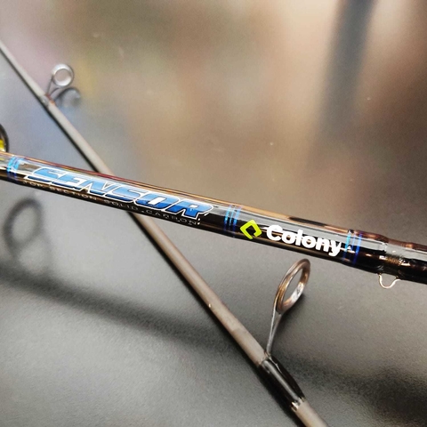CAÑA COLONY SENSOR SC-S602H- 20-40 LB 1,83 SPINNING