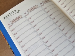PLANNER SEMANAL 2025 EXCLUSIVO (Modelo sem fecho) na internet
