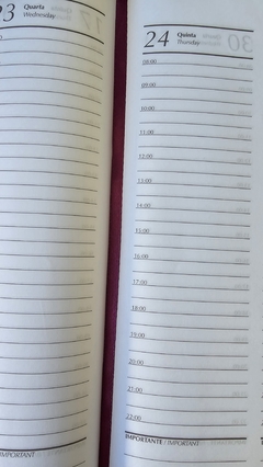 Agenda Semanal 2025 (Escolha sua Estampa) na internet