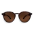 Óculos de Sol Clássico Marrom - Limitado