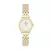 KIT Mini Belle Bicolor Gold 24mm + Bracelete Gold + Óculos de Sol Belle Full Black + Caixa de Presente - comprar online