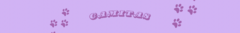 Banner de la categoría CAMITAS