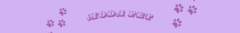 Banner de la categoría MODA PET