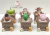 Molde Cabeça Porco - Toy Story - comprar online