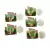 Marcador Kit Safari - loja online