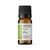 Óleo Essencial de Hortelã 10ml Labotrat - comprar online