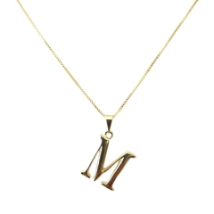 Imagen de Collar Forcet + Dije Inicial Laminado en Oro