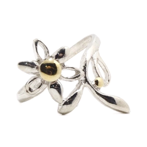 AN16 - comprar online