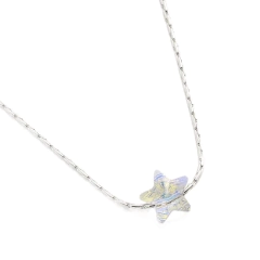 Collar Macizo + Cristal Pasante Estrella Chica