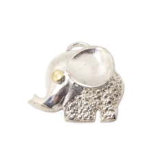 D100 - Elefante