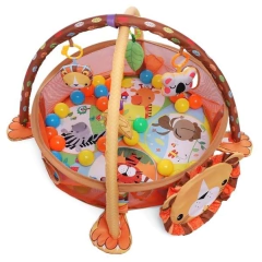 GIMNASIO LEON en internet