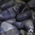 Quartzo Azul Rolado - Cura Emocional - comprar online