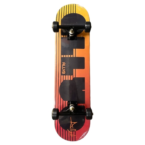 SKATE MONTADO INICIANTE