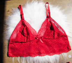 Conjunto Lingerie Renda - Calcinha e Sutiã Vermelho na internet