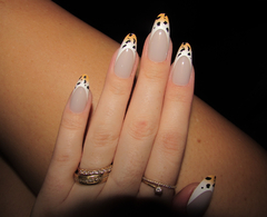 Unha Postiça 24 Unidades Francesinha Animal Print