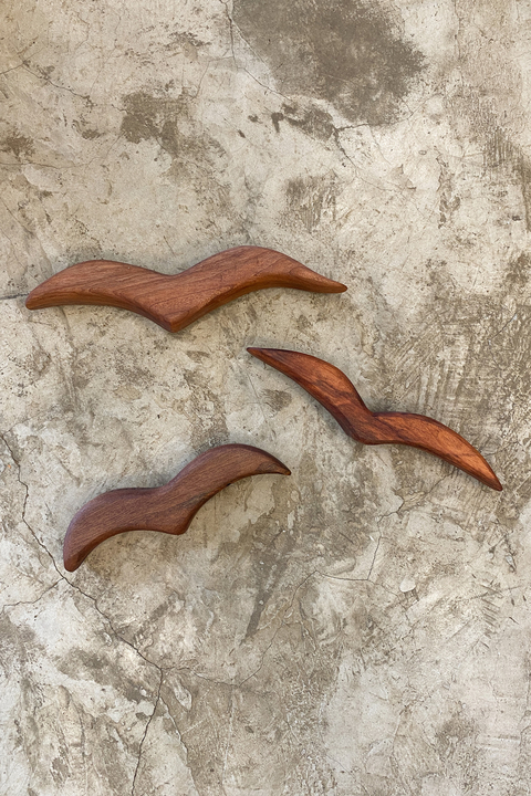 Gaivota Tauari - Trio