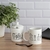 TAZA CITY ENVOLVENTE