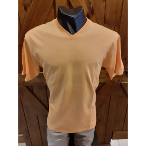 REMERA T-SHIRT EN V HOWARD (NOR34094)