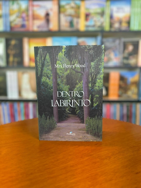 Dentro do Labirinto