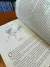 Villette 3ª Edição - Pedrazul Editora