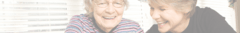 Banner de la categoría Zaleas