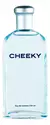 Perfume Cheeky edition Cool Boys 100ML en internet