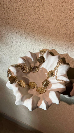 Caderin shell - BDT.