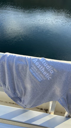 Buzo Studio BDT GRIS en internet