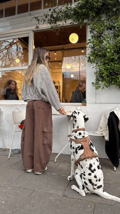 Cargo pant en internet