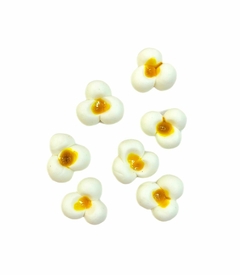 Pipoca biscuit