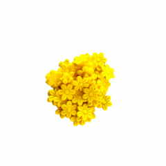Flor prensada em tecido - 1,8cm - 40 florzinhas - loja online