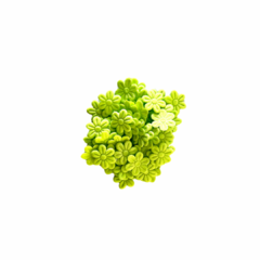 Flor prensada em tecido - 1,8cm - 40 florzinhas na internet