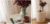 Decoración