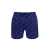 Shorts Infantil Elastano Dolphins