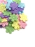 Kit flor prensada cores candy 50 - unidades