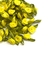 Aplique flor rococó amarelo - 10 unidades