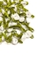Aplique flor rococó branca - 10 unidades