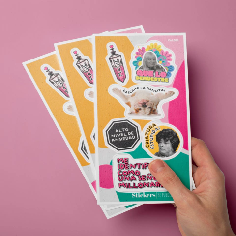 CAL005 - Pack x 10 Planchas Stickers - comprar online