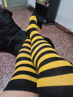 Medias de abejitas - tienda online