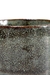 TAZA 04 NOCHE en internet