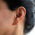 Aros Roma en internet